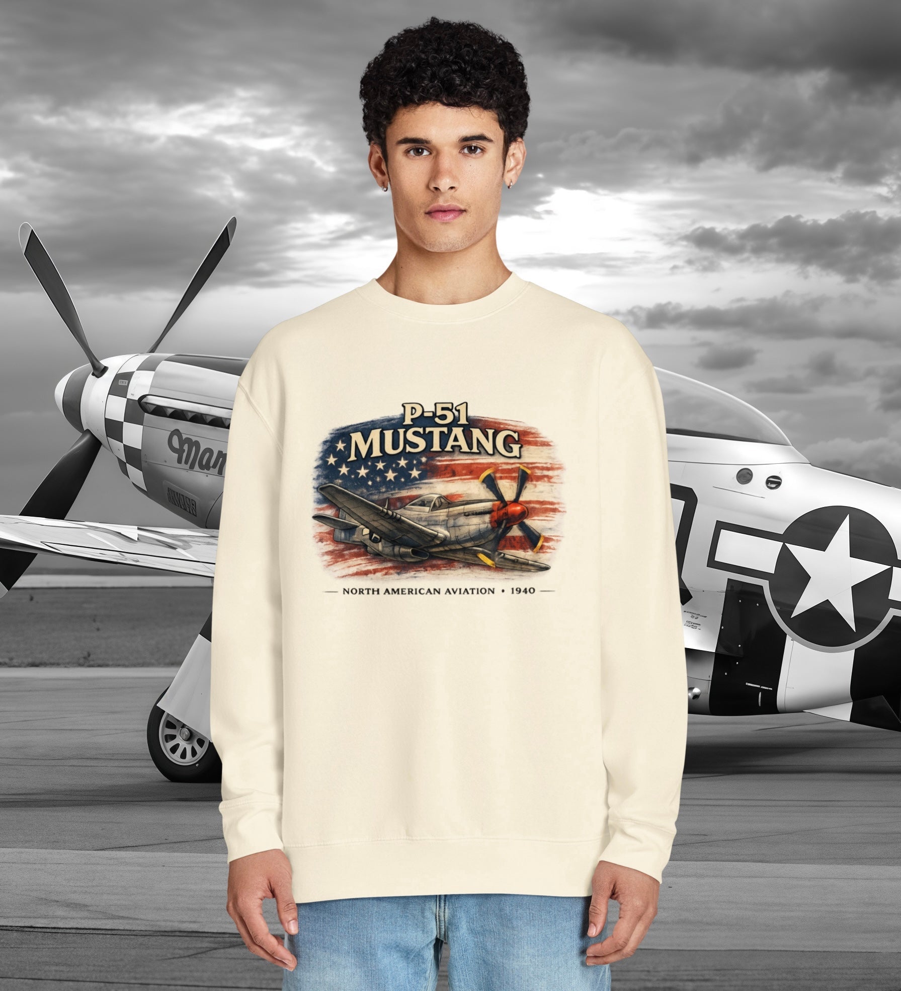 The Warbirds Collection